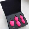 Вагинальные шарики со смещенным центром тяжести SVAKOM NOVA BALL SSYB-PMR